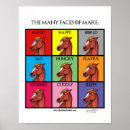 Recherche de visage de cheval posters Humour