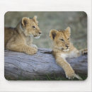 Recherche de adam jones tapis souris Afrique