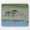 Recherche de courant tapis souris Cheval