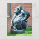 Recherche de gorille sauvage cartes postales Animaux sauvages