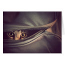 Recherche de chaton tigré cartes postales Animal