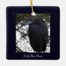 Recherche de héron de petit bleu Oiseaux