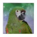 Recherche de perroquet carreaux Nature