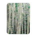 Recherche de tremble magnets Montagne