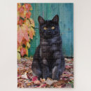 Recherche de chaton noir puzzles Animal