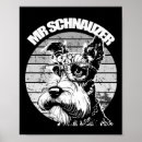 Recherche de schnauzer Animal