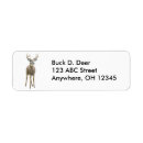 Recherche de whitetail Cerfs communs