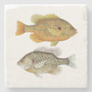 Recherche de poisson soleil dessous de verres Pêche