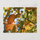 Recherche de industrie cartes postales Nature