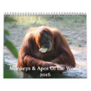Recherche de singe bureau fournitures Primates