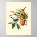 Recherche de oiseau nid posters Arbre