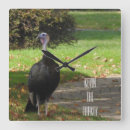 Recherche de turquie horloges Faune
