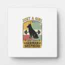 Recherche de berger allemand plaques Weimaraner