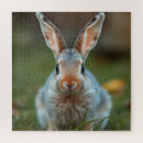 Recherche de lapin puzzles Bleu
