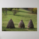 Recherche de valeurs posters Rustique