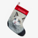 Recherche de chat noir chaussette de noël Cats
