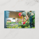 Recherche de arbustes Jardinier