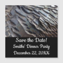 Recherche de dindes invitations Turquie