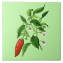 Recherche de poivrons rouges carreaux Poivre