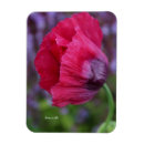 Recherche de jolie fleur magnets Toute personne