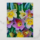 Recherche de narcisses cartes postales Jardin