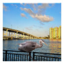 Recherche de la floride posters Paysage