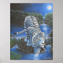 Recherche de tigres blancs posters Chats