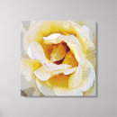 Recherche de pétale impressions sur toile Blanc