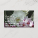 Recherche de orchidée blanche cartes visite Orchidées blanches