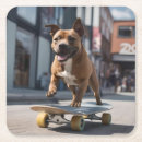 Recherche de skater bar Drôle