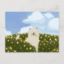 Recherche de samoyede cartes postales Mignon