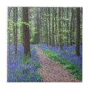 Recherche de belgique carreaux Nature