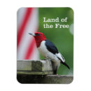 Recherche de ornithologie magnets Birding