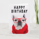 Recherche de bouledogue français joyeux anniversaire Animaux de compagnie