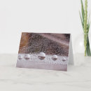 Recherche de paisible correspondances cartes Nature