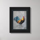 Recherche de coq toiles Animal
