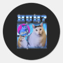 Recherche de chat étranger autocollants Mème