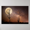 Recherche de cactus de saguaro Lune