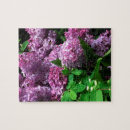 Recherche de lila puzzles Pourpre