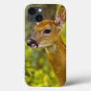 Recherche de faon coques Nature