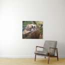 Recherche de puberté posters Canine