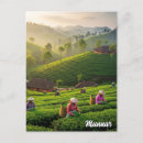 Recherche de india cartes postales Inde