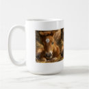 Recherche de poulains mignons tasses Cheval