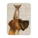 Recherche de chiwawa magnets Animaux