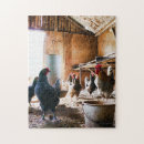 Recherche de poule coq puzzles Nature