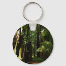 Recherche de séquoia porteclés Forêt