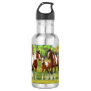 Recherche de cheval quart Ranch