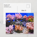 Recherche de aquarium cartes postales Mer