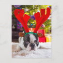 Recherche de rennes noël cartes postales Adorable