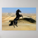 Recherche de étalon noir sauvage art Cheval